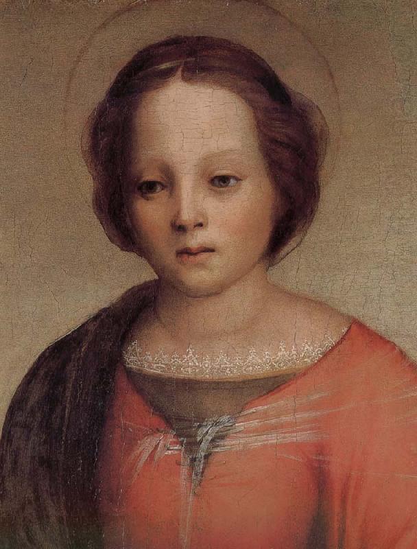 Andrea del Sarto Maria oil painting picture
